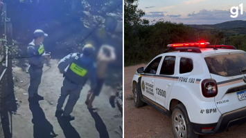 Homem é preso suspeito de matar o próprio cachorro a facadas no RS