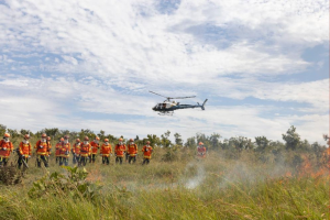 Multas por uso irregular do fogo em MT passam de R$ 360 milhões em 2025