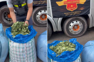 Polícia Rodoviária apreende 136 kg de folhas de coca durante abordagem a ônibus no interior de SP