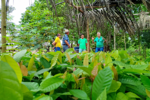 Emater abre PSS com vagas para seis municípios do oeste do Pará; inscrições iniciam na segunda, 23