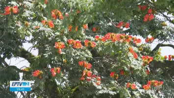 VÍDEOS: EPTV 2 Sul de Minas de sábado, 21 de março de 2026