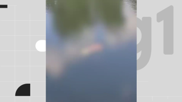 Corpo de homem é encontrado boiando no Açude de Apipucos; é o terceiro caso em menos de uma semana