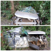 Três pessoas ficam feridas após carro rodar na pista e bater em árvores na MGC-122